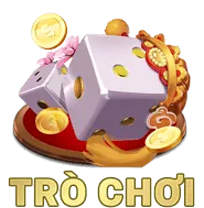 Người dùng tuân thủ quy định